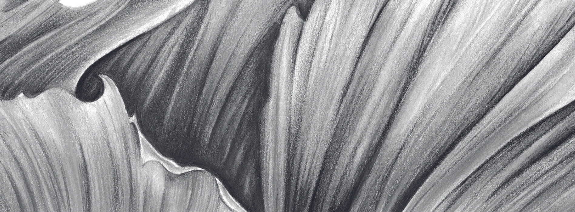 Crayons graphite et fusain