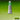 Winsor & Newton Aquarelle Professionnelle 37Ml Permanent Vert Sève - Gros plan du dos du produit emballé avec swatch de couleur 