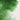 Winsor & Newton Aquarelle Professionnelle Hookers Vert Swatch