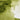 Winsor & Newton Aquarelle Professionnelle Vert Olive Swatch