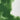 Winsor & Newton Aquarelle Professionnelle Oxyde De Chrome Swatch