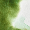 couleurs-aquarelle-extra-fine-professionnelle-vert-de-vessie-permanent
