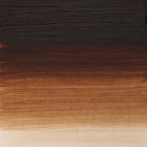 Couleurs Huile extra-fine Artists' - Terre d'Ombre Brûlée
